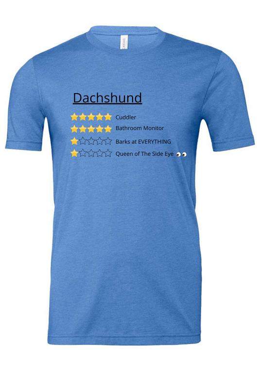 Lisa's Shirt