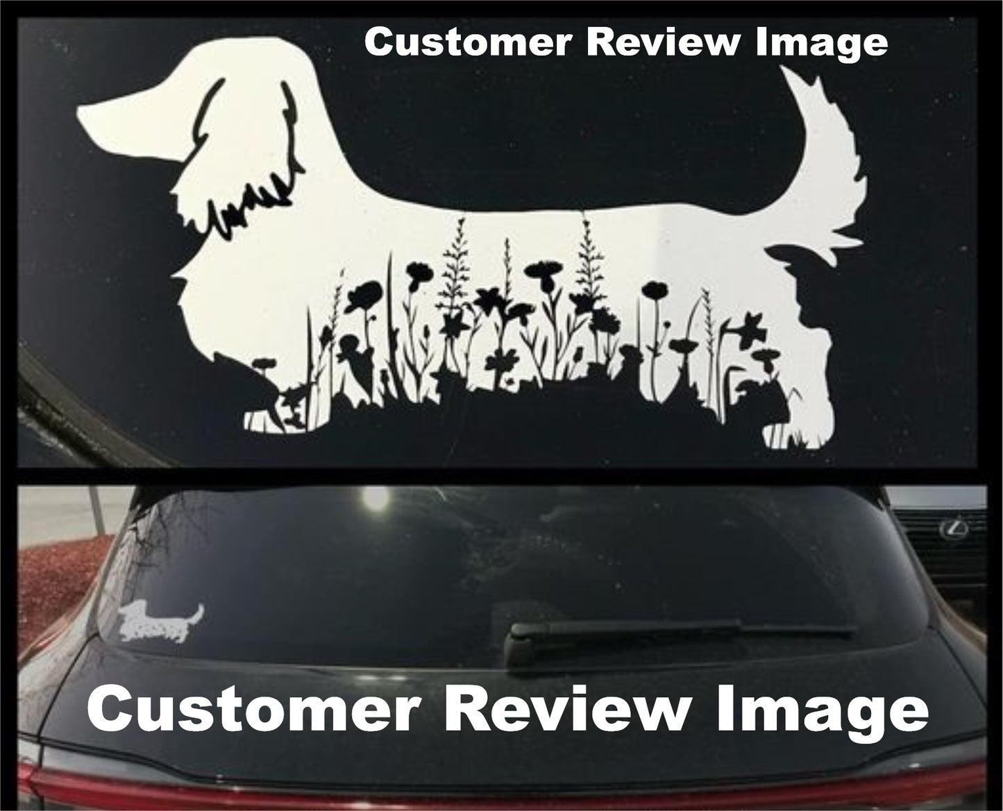 Decal - Floral Doxie