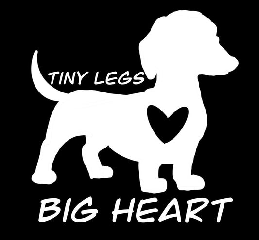 Decal - Tiny Legs Big Heart